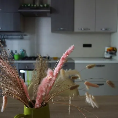 ホームステイ Privata In A *